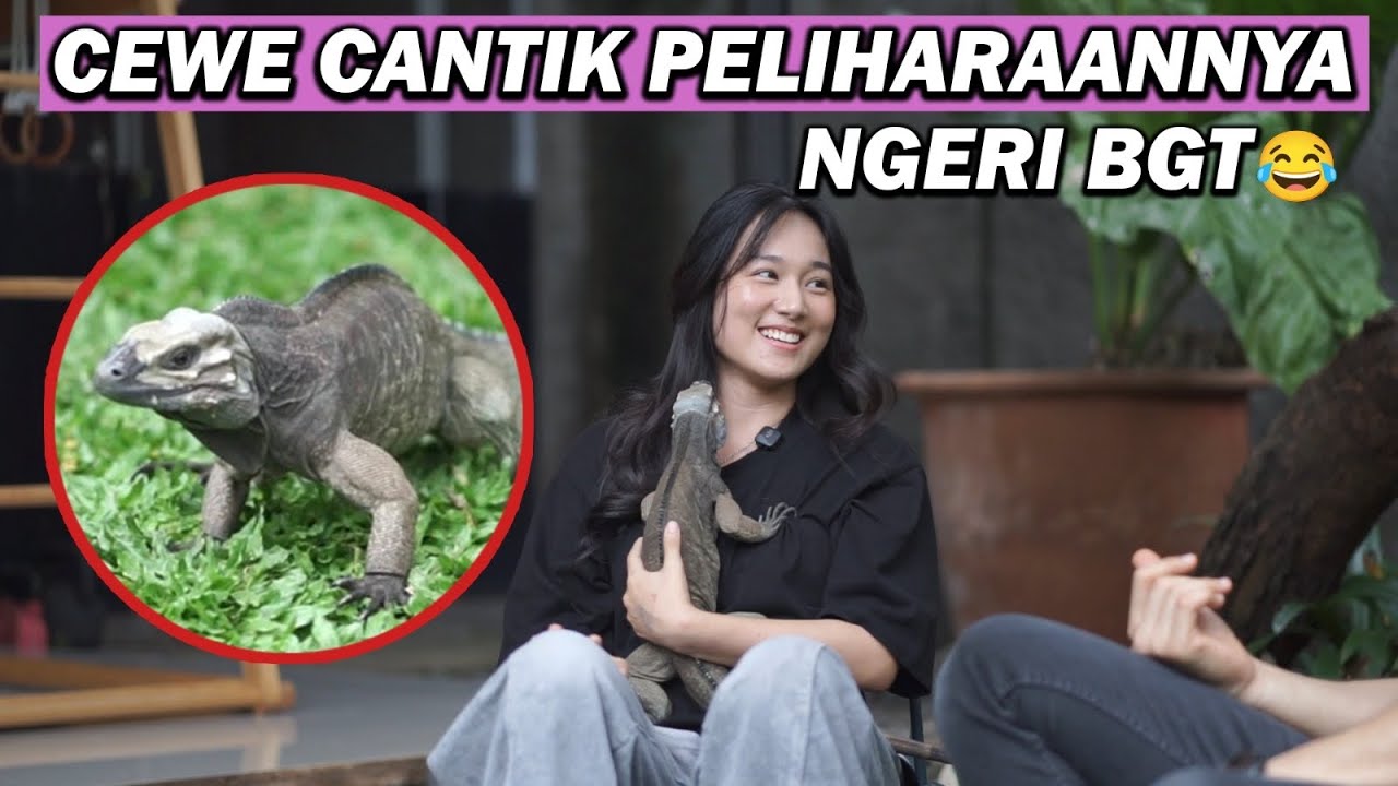 GA NYANGKA KOLEKSI HEWANNYA SEREM2 😱