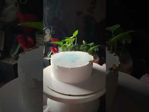 simple cake decoration 💗🥰