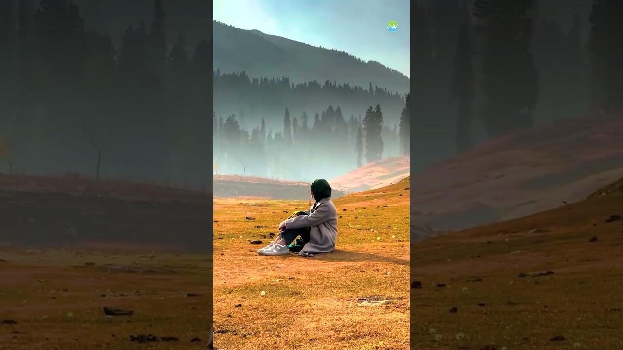YouTube thumbnail 9F1XVmUowAE