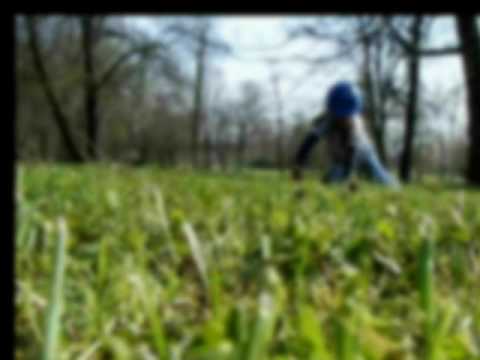 Apart Man - TraumaTeam - Girl In The Park