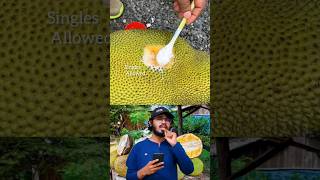 Download lagu Jack fruit tricks 😮 #jackfruit #kerala #fruits #tricks #trending #shorts #short #ytshorts mp3 Download lagu Jack fruit tricks 😮 #jackfruit #kerala #fruits #tricks #trending #shorts #short #ytshorts mp3