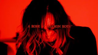 Cover art for Ssibal