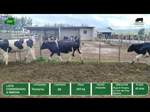 Video del lote L0-000849