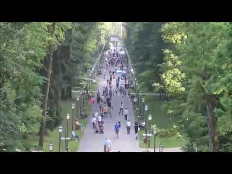 Stjepan Japec - Japa: MAKSIMIR