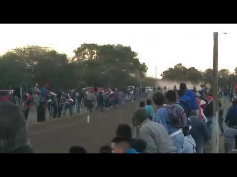 Usain bolt vs Linda Tonta