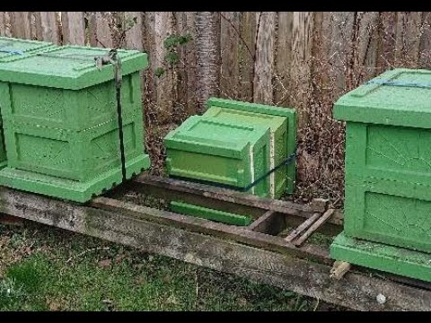 Vårgenomgång av dött samhälle