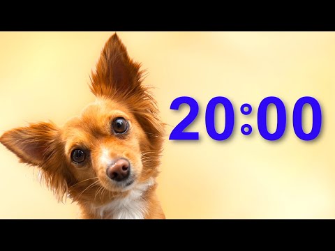 20 minute timer for school and homework with music | Dog Bark Alarm Sound