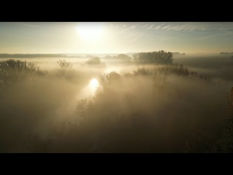 Flying Through the Foggy Autumn Scenery with DJI Mini 3 Pro