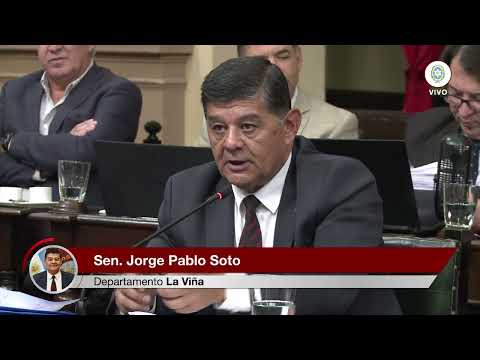 Senador Jorge Soto - Intervención de la Merced