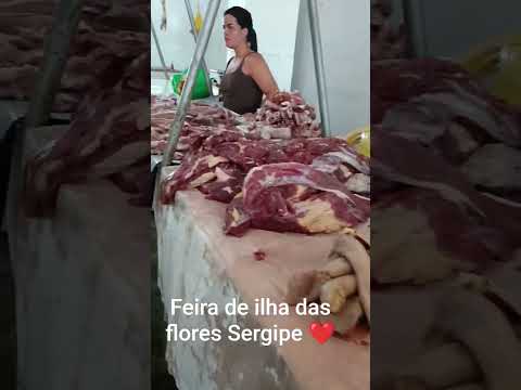 feira de carne ilha das flores sergipe 😍#brasil #humor #deustemumapalavrapravoce #brasilia #macae