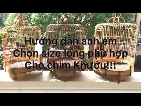 Hướng dẫn chọn lồng phù hợp cho chim khướu |Lồng chim Vũ Minh | SDT & zalo 0908.561.943