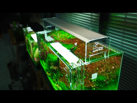 Chihiros LED Light - A II Max Series | Shop Planted Tank Chihiros LED Light - A II Max Series | Shop Planted Tank