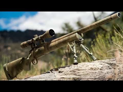 M24 Sniper Rifle | Precision, Power & History of a Military Legend