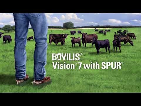 Bovilis Vision 7