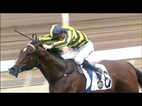 24/4/2022 (605) Kai Xin Dragon - B Shinn