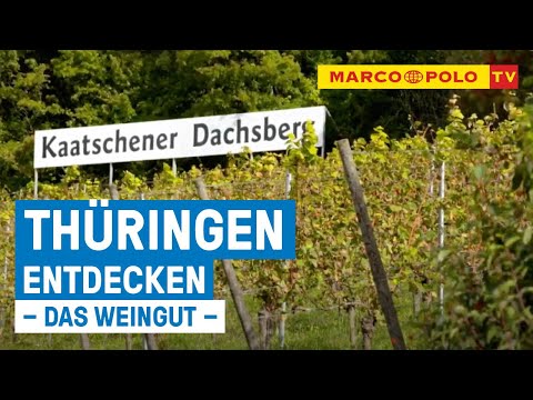 Entdecken Sie Thüringen – Wein-Picknick an der Saale