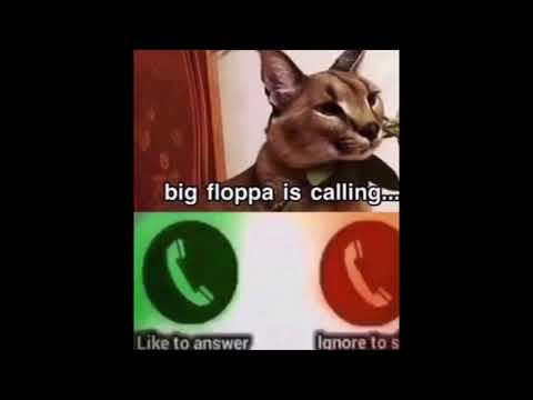 Big Floppa is calling you. Pick up the phone baby meme