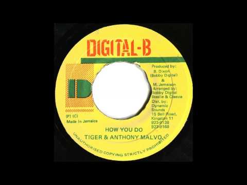 Tiger & Anthony Malvo - How You Do