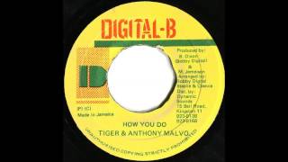 Tiger & Anthony Malvo - How You Do