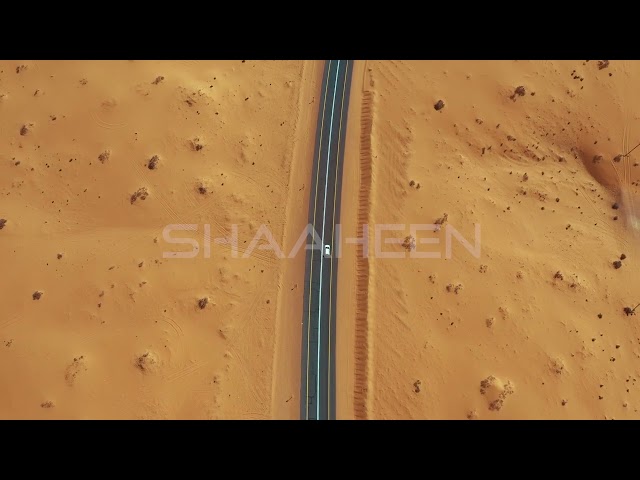 فيديو في صحراء حائل