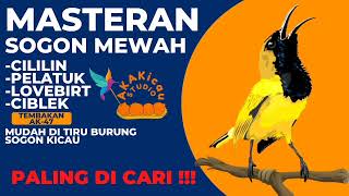 Download lagu MASTERAN SOGON FULL ISIAN PALING GAMPANG MASUK UNTUK BURUNG mp3