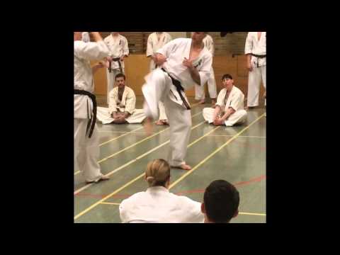 Fighting Seminar with Sensei Valeri Dimitrov Part 2