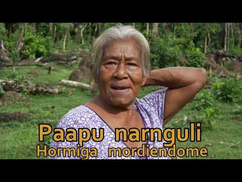 La Naturaleza en Rama con Miss Cristina