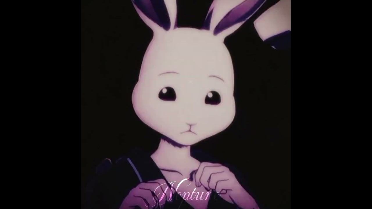 Haru [ Beastar ] #foryou #anime #edit #beastars #haru #animeedit #shorts #fyp