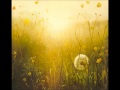 Петух - Лопух 