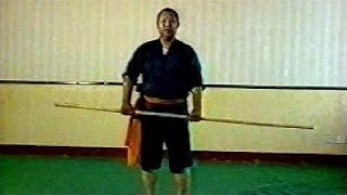 Shaolin kung fu staff basic moves