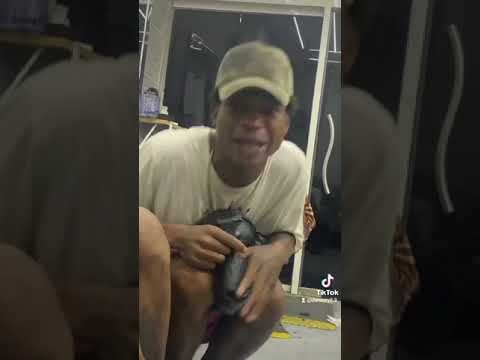 lo Nuevo Del Choque dineral 💪💥