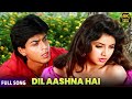 Dil Aashna Hai Jigar Aashna Hai Shah Rukh Khan Divya Bharti Romantic 4K Song Bollywood