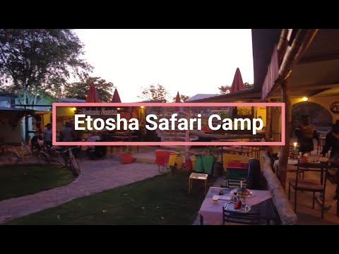 Einblick in das Etosha Safari Camp: Interview mit dem Lodge-Manager