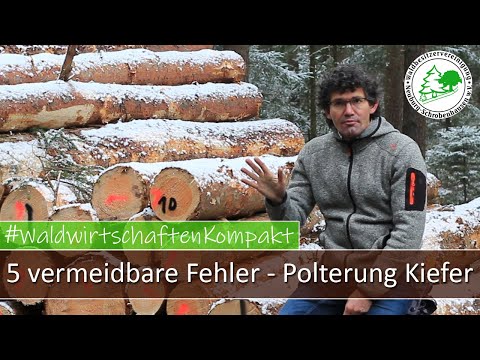 5 vermeidbare Fehler bei der Polterung von Kiefer Fixlängen