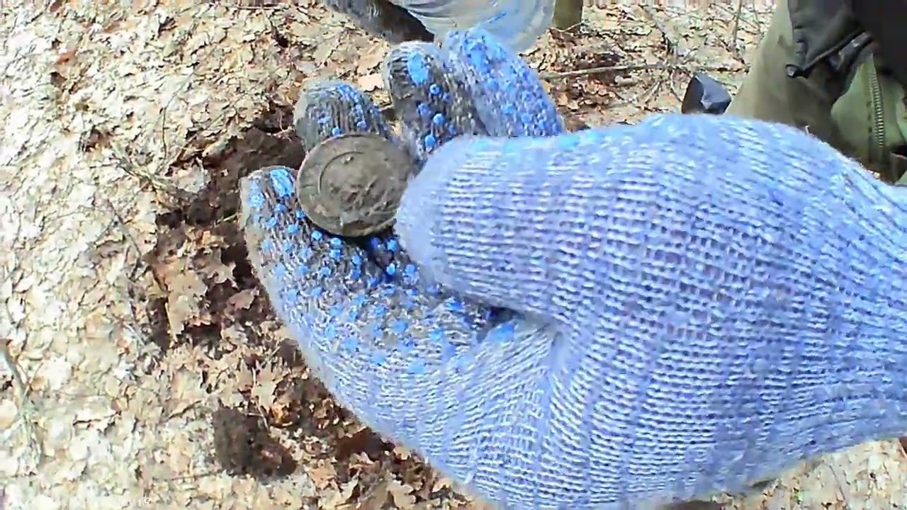 Искали грибы, а нашли 3  копейки эпохи Александра второго