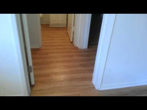 Lower 1 Bed Apartment For Rent in Venice / Mar Vista - 562Rent.com