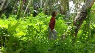 preview picture of video 'AO climbing coconut SuperSlow - Part 6 Naigavitina, Kadavu'