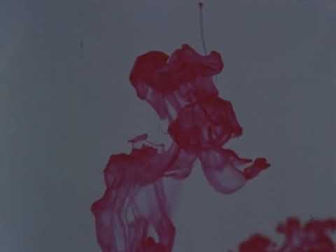 The Psychedelic Experience | 1965 Short film featuring Timothy Leary (Full cut with Improved Audio)