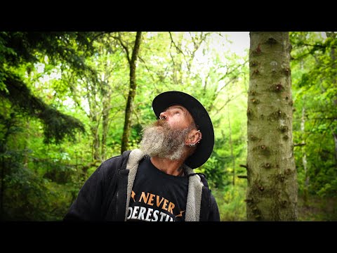 The ultimate woodland plan, with Nic the tree surgeon; FULL TOUR