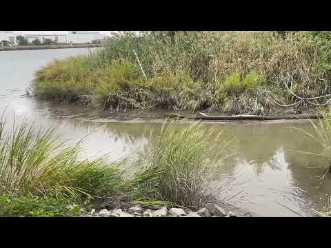Raritan River Cleanup