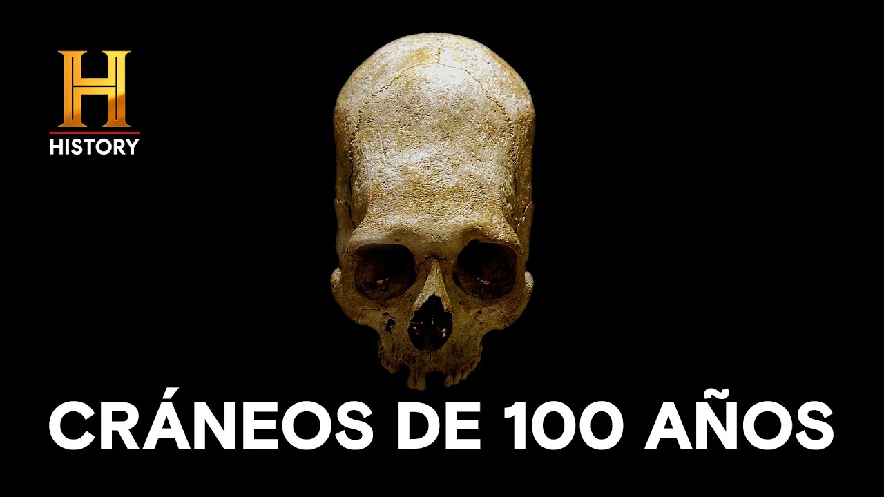 CRÁNEOS DE 100 AÑOS 🏛️😱🚫 ¡EL HALLAZGO QUE LA CIENCIA OCULTA! - Búsqueda alienígena