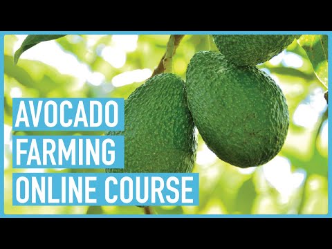 Profitable Pig Farming and Best Practices for success Course Outline