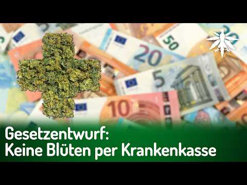 Video Thumbnail: Gesetzentwurf: Keine Cannabisblüten per Krankenkasse | DHV-News # 506