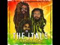 The Itals Don T Wake The Lion