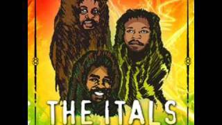 The Itals - Don&#39;t Wake The Lion