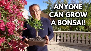 Mastering Your Bonsai: How to Fit Bonsai Into Your Lifestyle