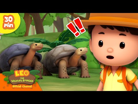 Witness21 Editor  2025 01 09