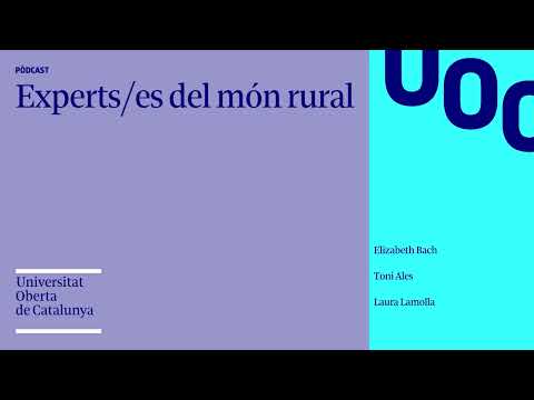 Expertos - números