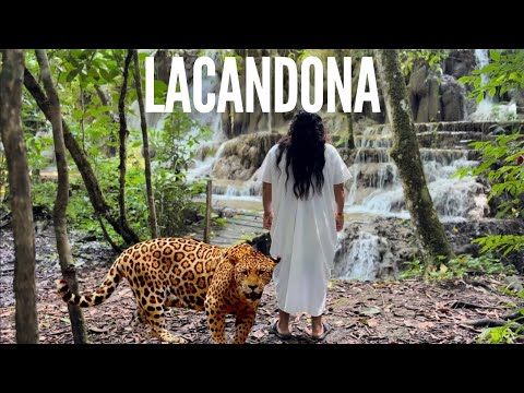 SELVA LACANDONA el corazón indómito de Chiapas México