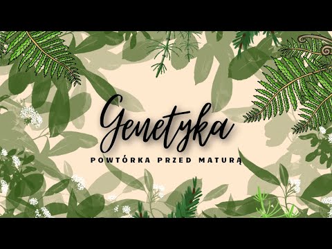 Genetyka - powtórka przed maturą z biologii